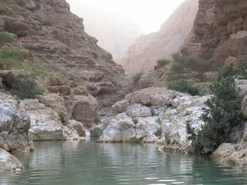 Full Day Private Muscat City Tour
