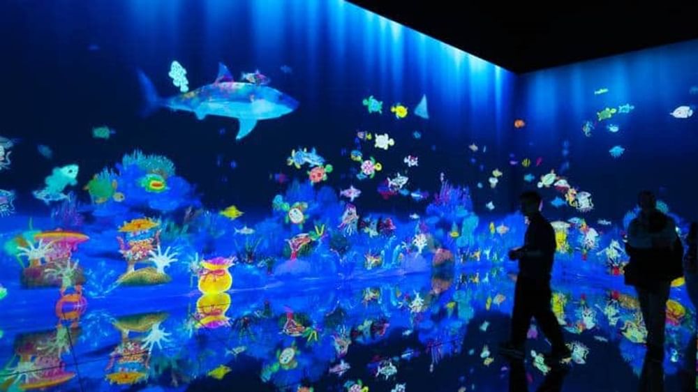 teamlab Borderless Tokyo