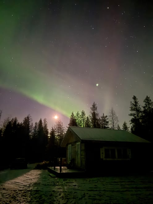 Electric Reindeer safari to the Aurora Cabin (Northern Lights)