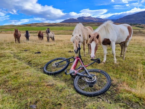 Svarfaðadalur Private E-mtb tour