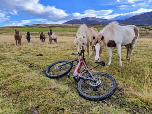 Svarfaðadalur Private E-mtb tour