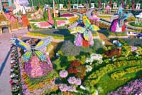 Miracle Garden Excursion