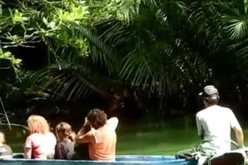 3-Day Ujung Kulon National Park Private Guided Tour