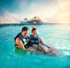 Dolphin Encounter en Isla Mujeres 7