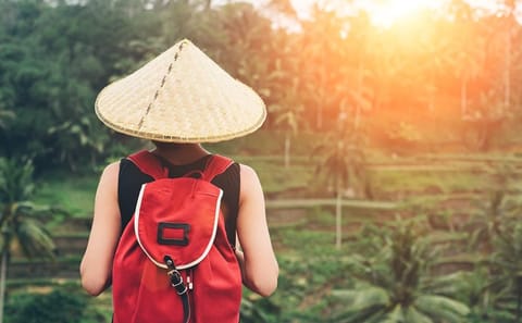 Private All-Inclusive Ubud Attractions Day Tour