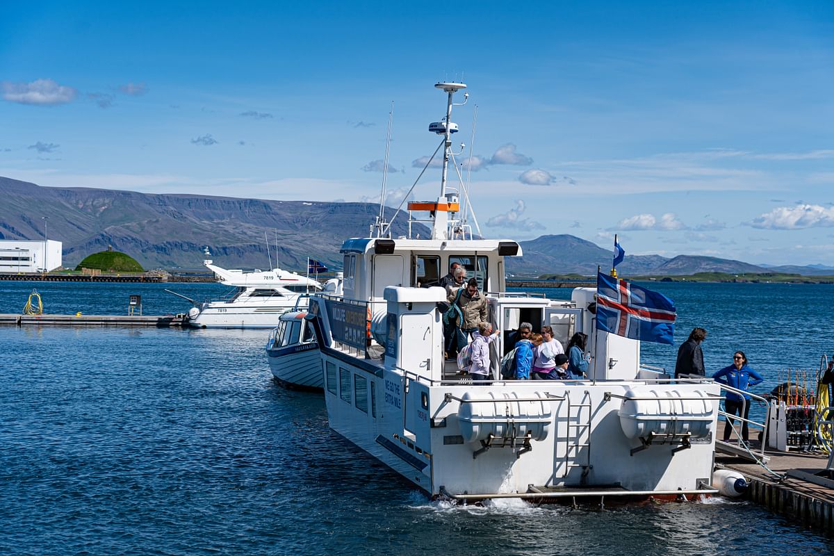 Whale Watching and Puffin Tour: Explore Iceland's Wildlife from Old Harbour in Downtown Reykjavik