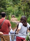 Watching wild elephants in Kuiburi National Park - a unique opportunity with a private guide 6