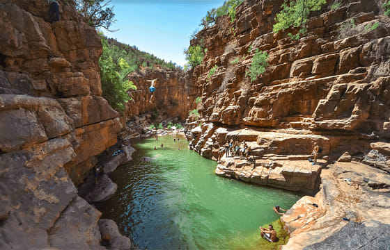 Paradise valley Half Day Experience