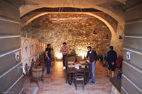 Vineyard Tour and Tasting of Lugana Wines 9