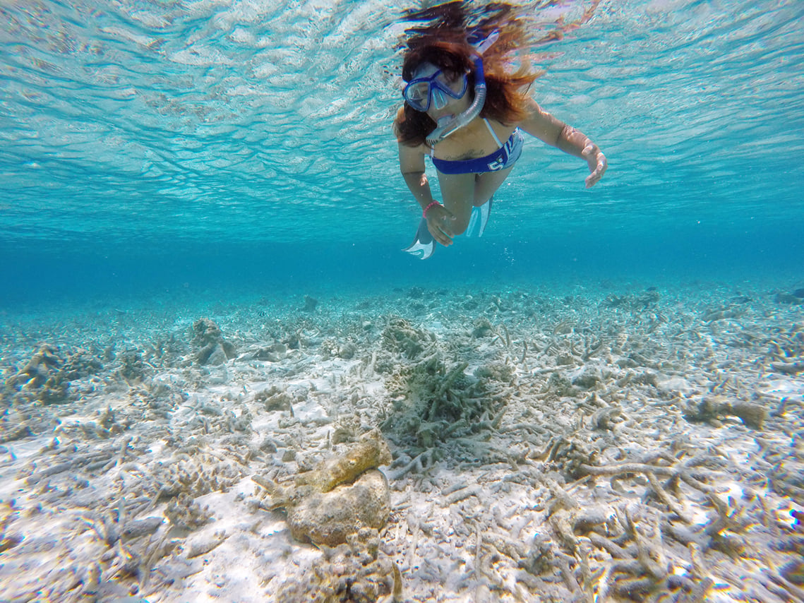 Guided Snorkeling Trip 10