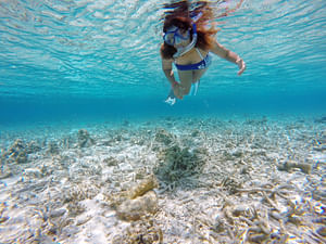 Guided Snorkeling Trip