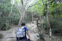 Private Full-Day Hike Tour Telegraph Stone and Beaches 3