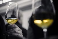 Wine Tasting