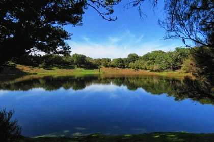 West volcanic pools & Unesco 4×4 Tour