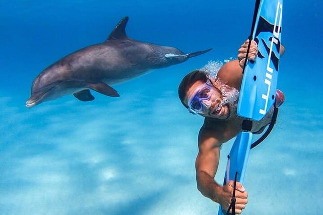 Private Speed Boat to the dolphin house Hurghada