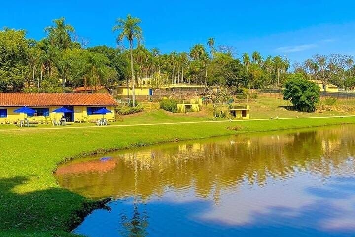 Coffee Farm Sao Paulo In Countryside – The Rural Charms of Brazil – Private 9