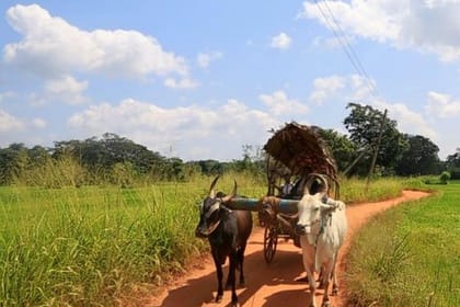 Pidurangala & Hiriwaduna Village Tour from Kandy