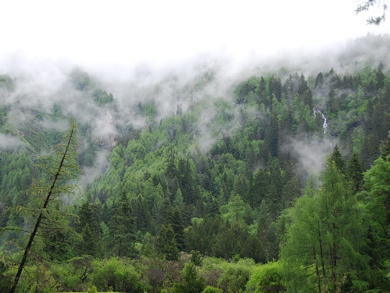 Siguniang Mountain Changping-Bipenggou Crossing