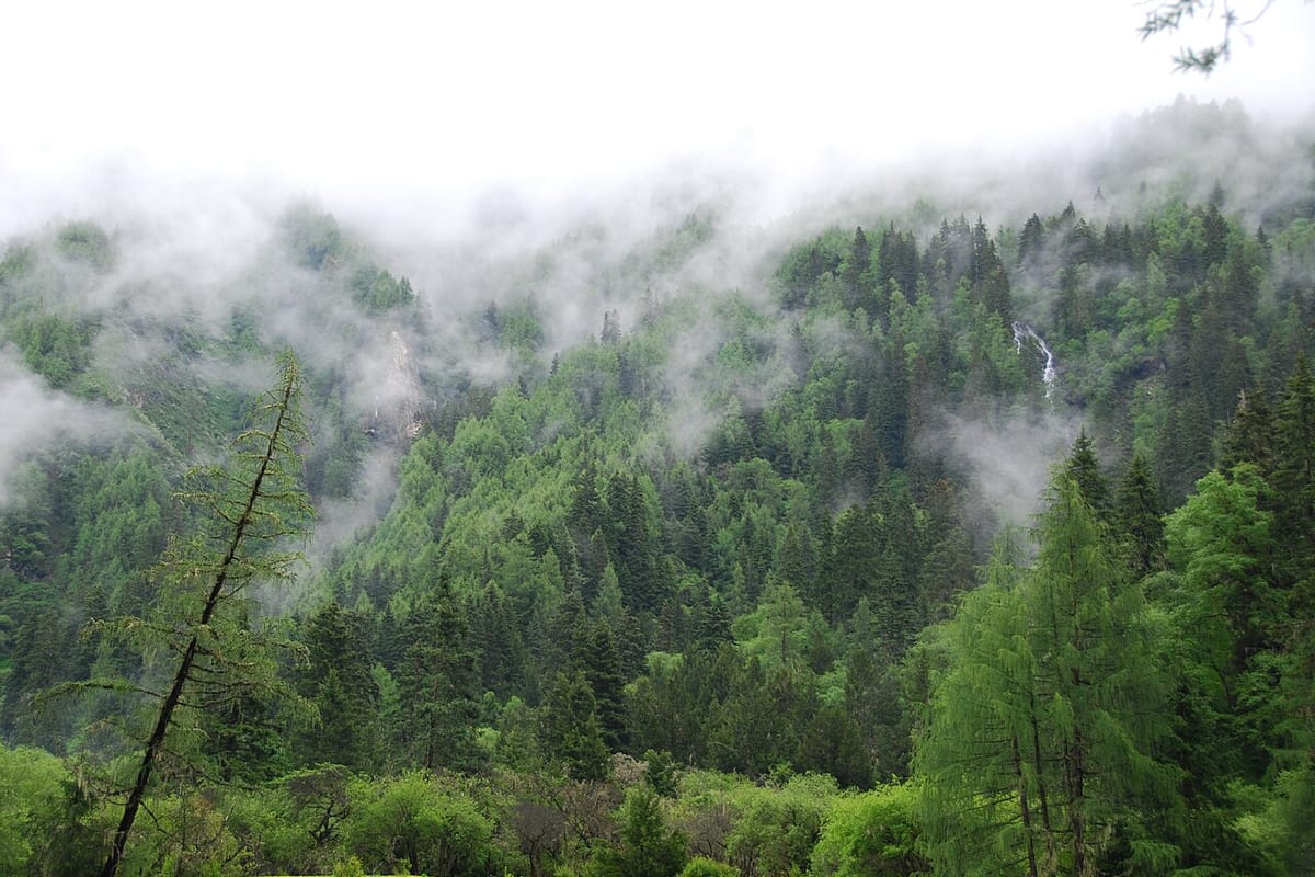 Mount Siguniang Trek Guide 2026: Four Sisters Valleys Hike