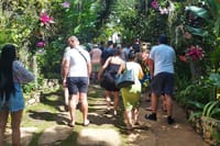 Visitors going up to Mt. Zion