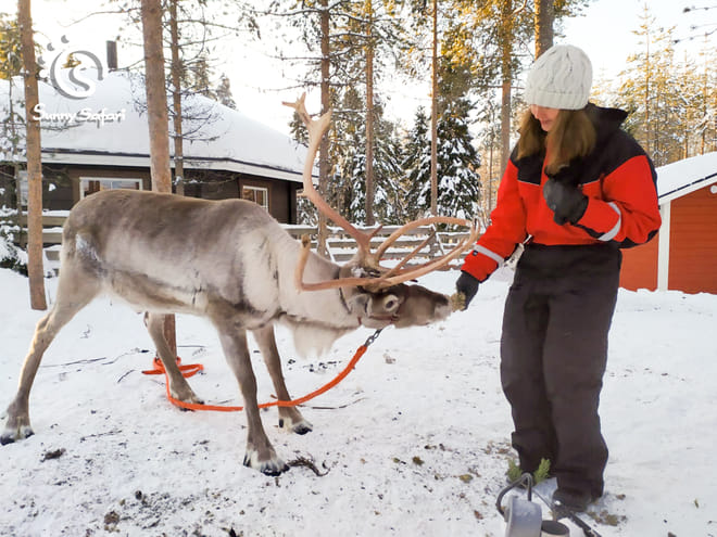 Welcome to the Arctic Circle - Winter photo 5