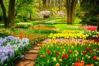 Gardens in the Keukenhof park