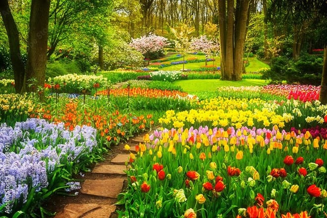 Gardens in the Keukenhof park