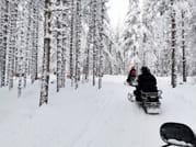 Snowmobile Safari and Reindeer Experience 9