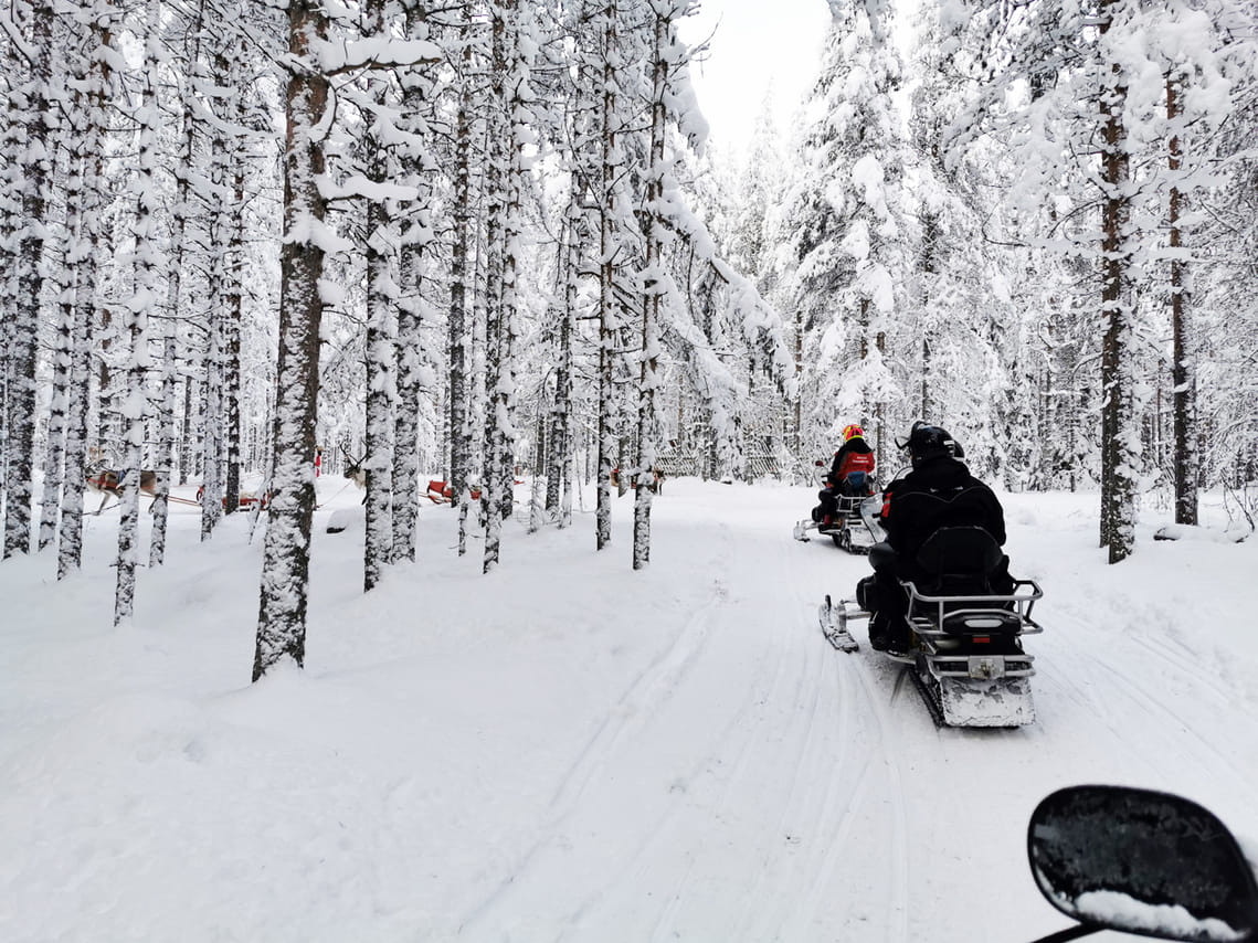 Snowmobile Safari and Reindeer Experience 9