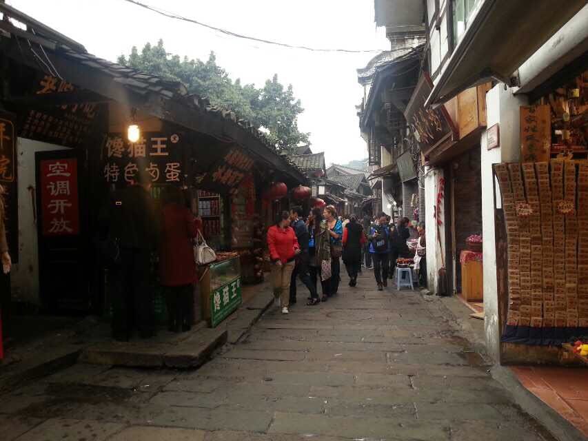 Private Day Tour to Ciqikou, Liziba, Jiefangbei etc. in Chongqing 3