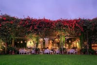Tour Larco Museum with dinner 9