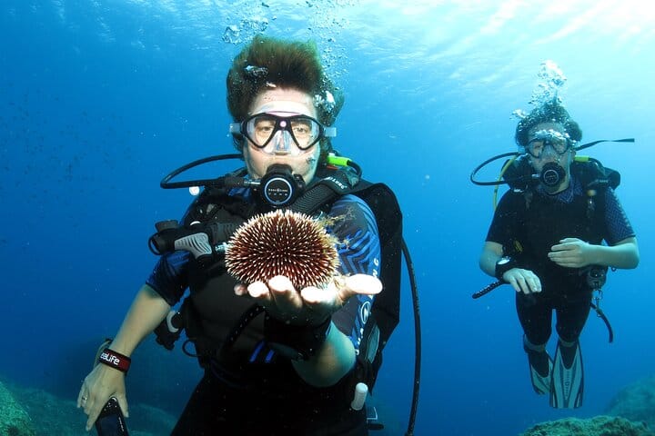 Thessaloniki: Pozar Thermal Baths & Edessa Waterfalls Trip