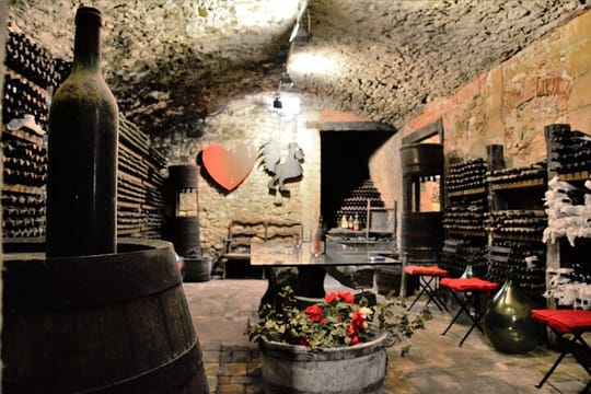 Exclusive Private Tuscan Dinner Half Day from Florence