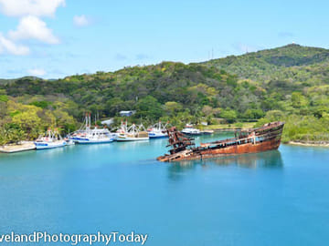 Wildlife Encounter and Snorkeling Tour in Coxen Hole, Honduras