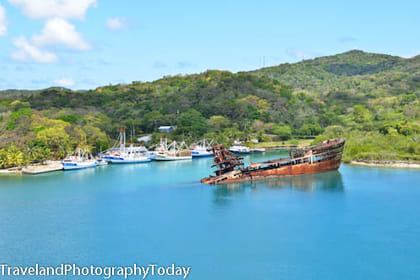 Monkeys Sloth plus snorkeling in Roatan