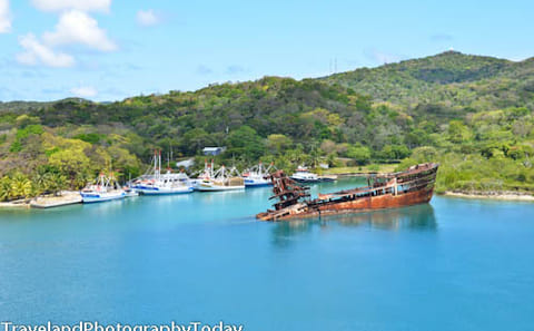Wildlife Encounter and Snorkeling Tour in Coxen Hole, Honduras