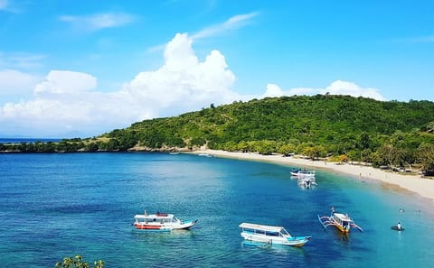 Day Tour to Pink Beach from Kuta, Lombok Island