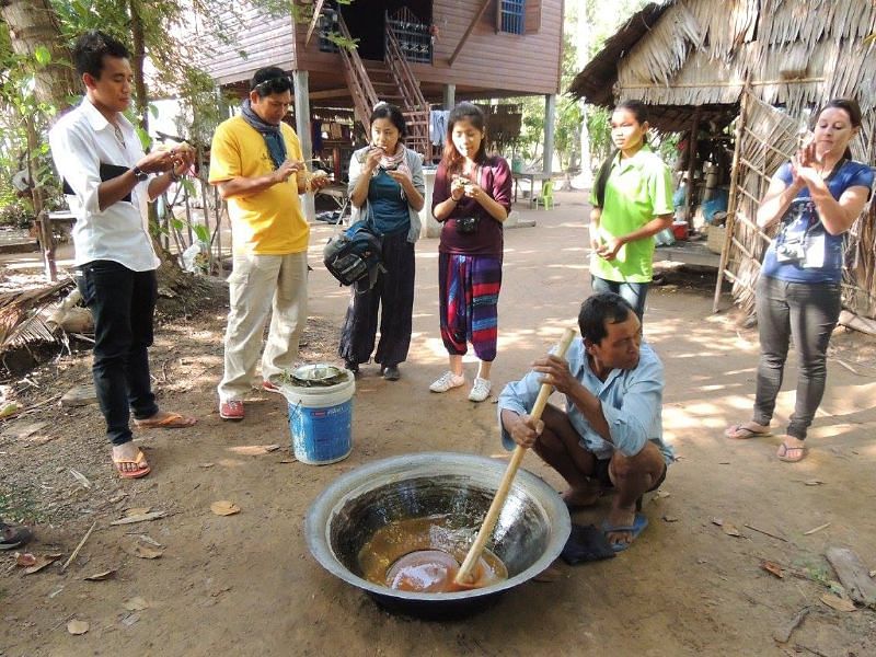 Bird Watching Adventure at Siem Reap’s Trapaeng Thmor Wetlands