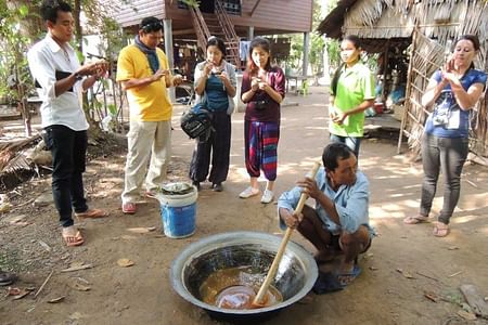 Bird Watching Adventure at Siem Reap’s Trapaeng Thmor Wetlands