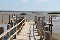 View over the Sado Natural Reserve estuary 