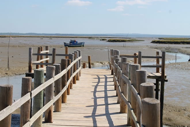 View over the Sado Natural Reserve estuary 