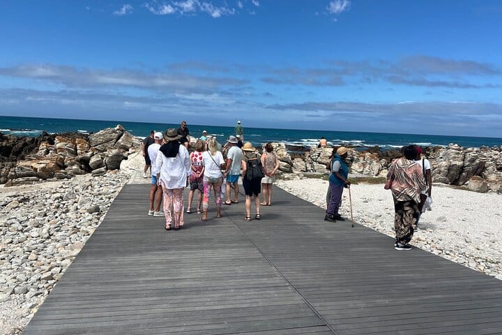 Cape Agulhas, Full-Day Private Tour & Wine Tasting from Cape Town