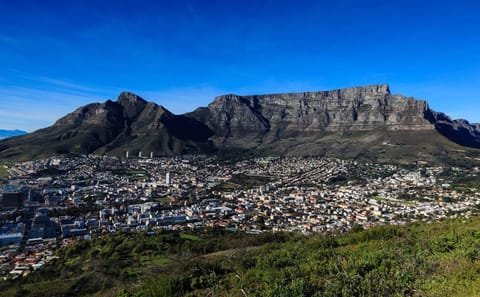 Cape Town and Garden Route 12-Day Cultural and Wildlife Tour