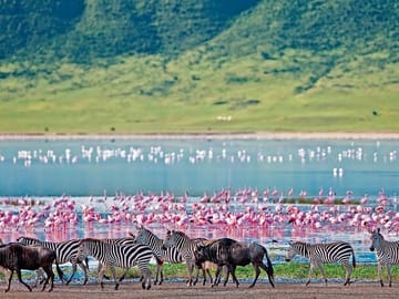 2-Day Hell’s Gate, Crescent Island and Nakuru – Private Safari
