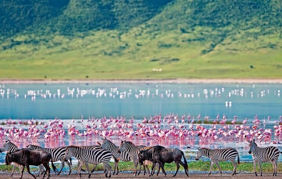 Private 2-Day Safari to Hell's Gate and Lake Nakuru in Kenya