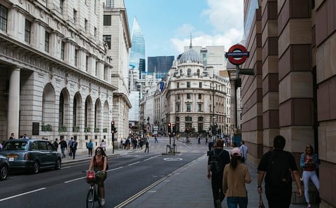 Private Full Day Tour of London with Entry Passes Included