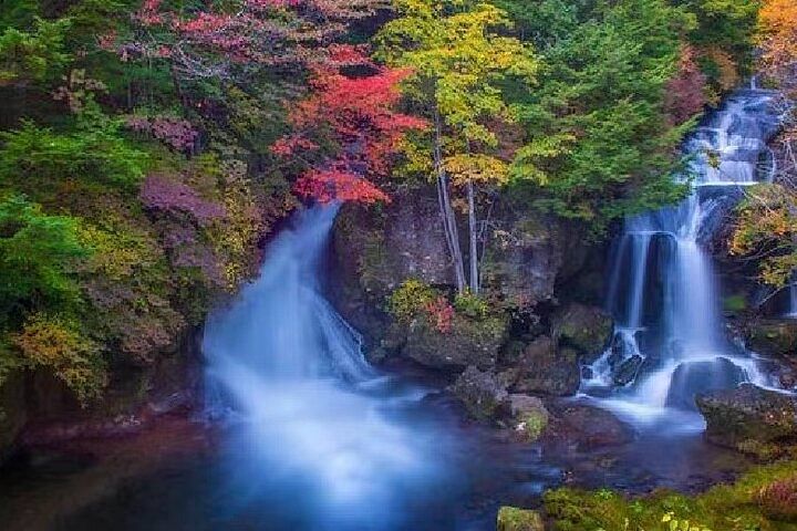 Nikko Toshugo Shrine and Nature View 1-day Tour | from Tokyo