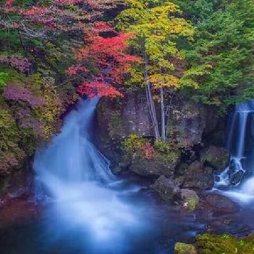 Nikko Toshugo Shrine and Nature View 1-day Tour | from Tokyo