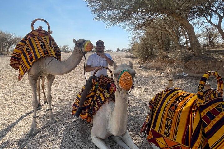 Discover Riyadh: Desert & Heritage with Camel Ride