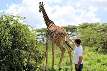 Day Tour of Lake Nakuru Park with Optional Boat Ride